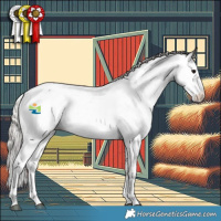 Horse Color:White Spotted Silver Black Fewspot 