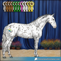 Horse Color:Silver Black Leopard