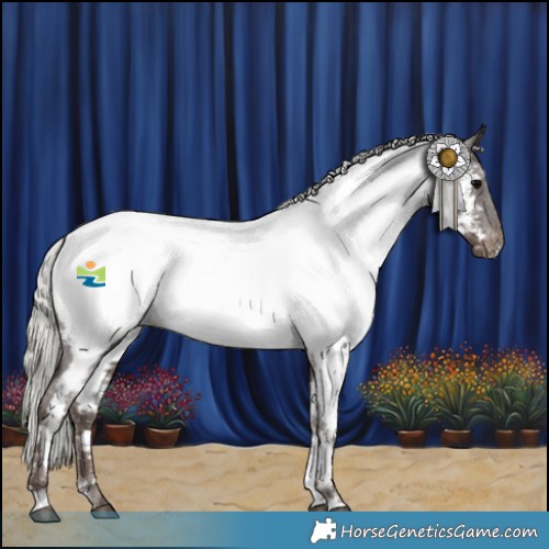 Horse Color:White Spotted Silver Black Appaloosa 