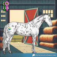 Horse Color:White Spotted Silver Brown Appaloosa 