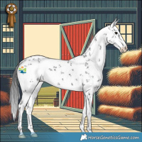 Horse Color:White Spotted Black Sabino
