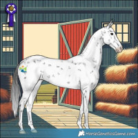 Horse Color:White Spotted Black Sabino 