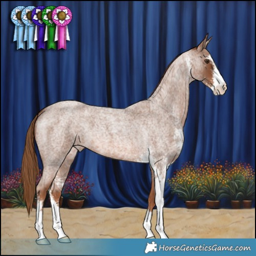 Horse Color:Red Roan Sabino 