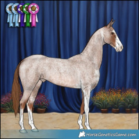 Horse Color:Red Roan Sabino 