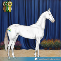 Horse Color:Chestnut Sabino