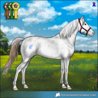 Horse Color:Chestnut Sabino