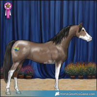 Horse Color:Liver Red Dun Sabino 