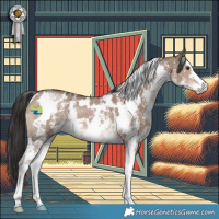 Horse Color:White Spotted Liver Red Dun Sabino 