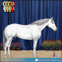 Horse Color:Brown Sabino