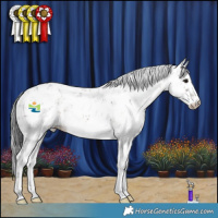 Horse Color:Brown Sabino 