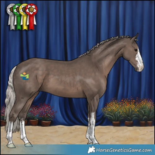 Horse Color:White Spotted Silver Black 