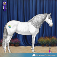 Horse Color:Liver Chestnut Mushroom Sabino