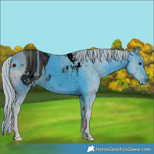 Horse Color:ERROR: UNKNOWN ANOMALY