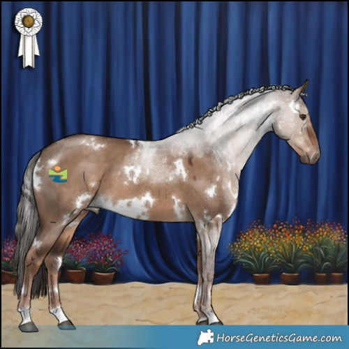 Horse Color:White Spotted Liver Red Dun 