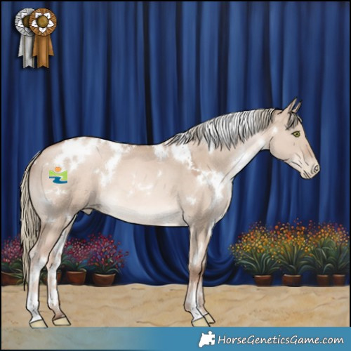 Horse Color:White Spotted Liver Red Dun Pearl Mushroom 