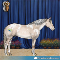 Horse Color:White Spotted Liver Red Dun Pearl Mushroom 