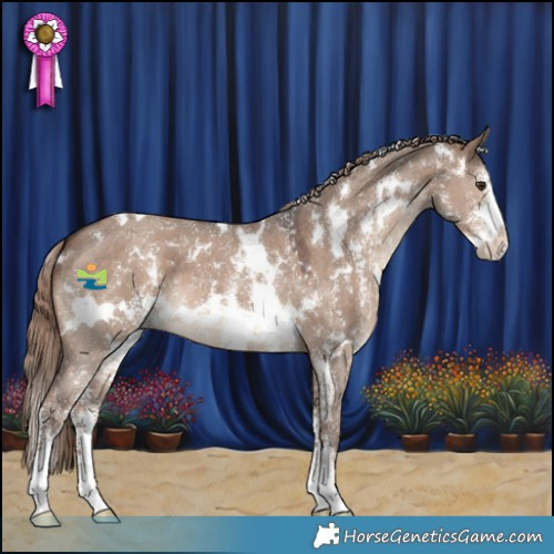 Horse Color:White Spotted Liver Red Dun Sabino 