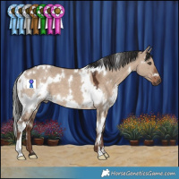 Horse Color:White Spotted Liver Red Dun 