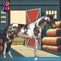 Horse Color:White Spotted Brown Tobiano 