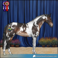 Horse Color:White Spotted Brown Tobiano 