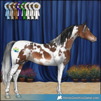 Horse Color:White Spotted Brown Tobiano 