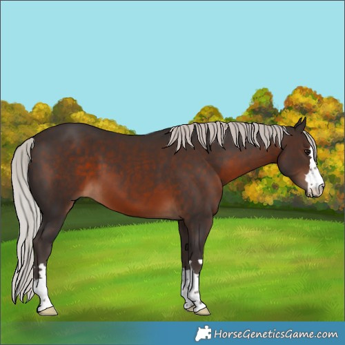 Horse Color:Silver Brown 