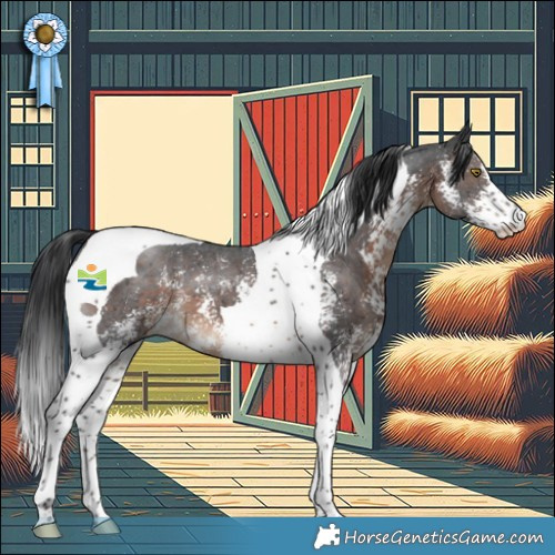 Horse Color:Brown Sabino Tobiano 