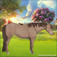Horse Color:Classic Champagne 