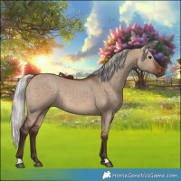 Horse Color:Silver Bay Dun