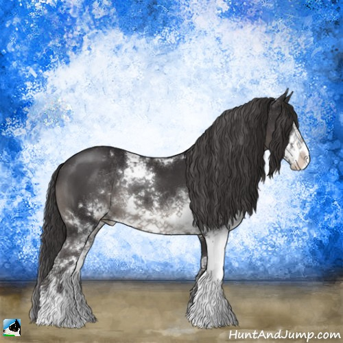 Horse Color:Smoky Black Sabino Rabicano 