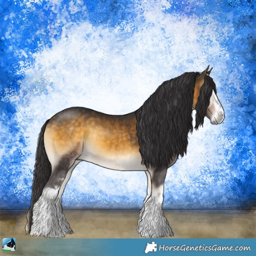 Horse Color:White Spotted Buckskin Onyx 