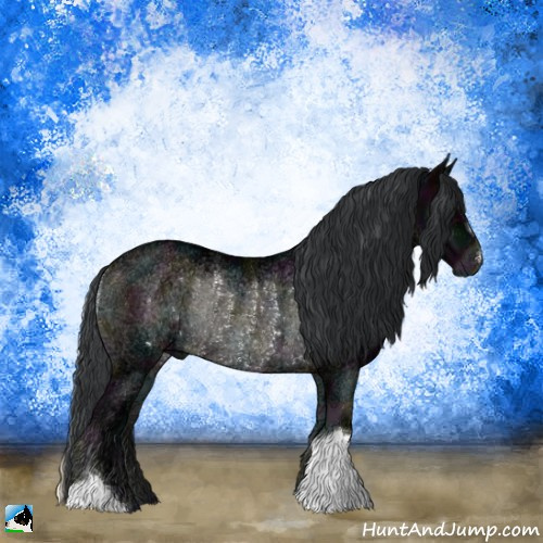 Horse Color:Midnight Brown Ice Onyx Rabicano 