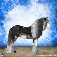 Horse Color:Midnight Brown Sabino 