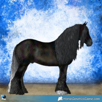 Horse Color:Midnight Brown Ice Onyx Rabicano 