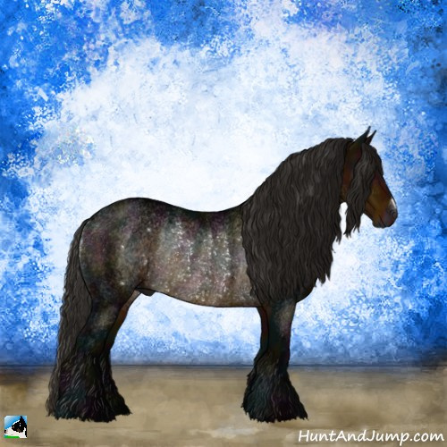 Horse Color:Gray Midnight Buckskin Rabicano 
