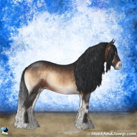 Horse Color:Brown Onyx Rabicano