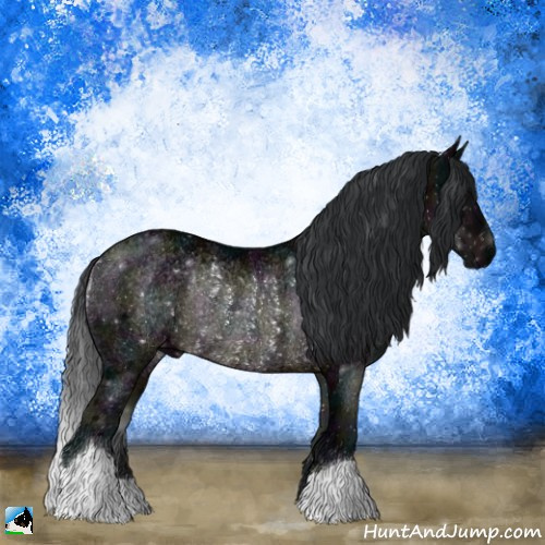 Horse Color:Midnight Brown Ice Rabicano 