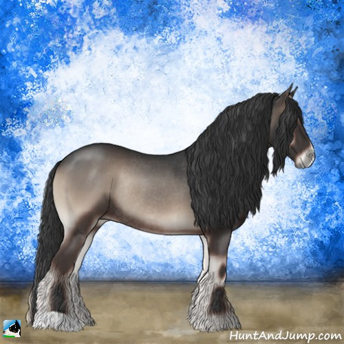 Horse Color:Blue Onyx Rabicano 