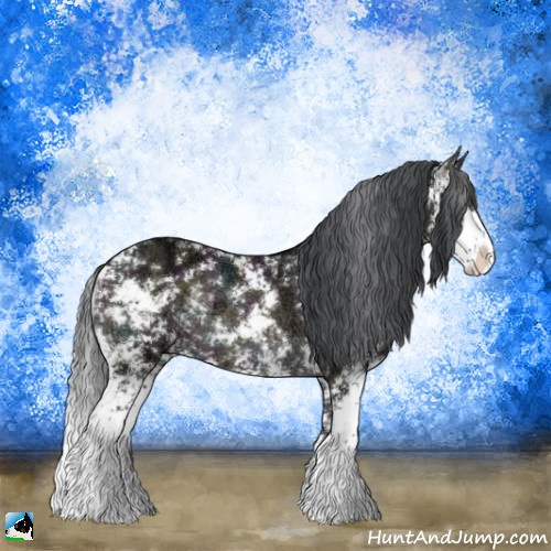 Horse Color:Midnight Brown Ice Onyx Sabino Rabicano 