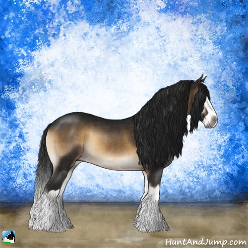 Horse Color:Gray Brown Onyx Splash Rabicano 