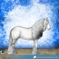 Horse Color:Gray Brown Onyx Splash Rabicano 