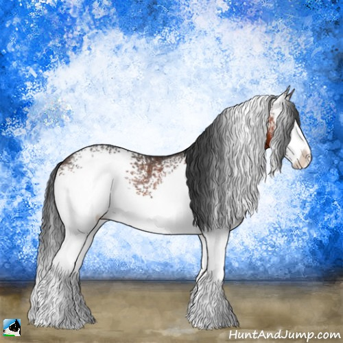 Horse Color:White Spotted Brown 