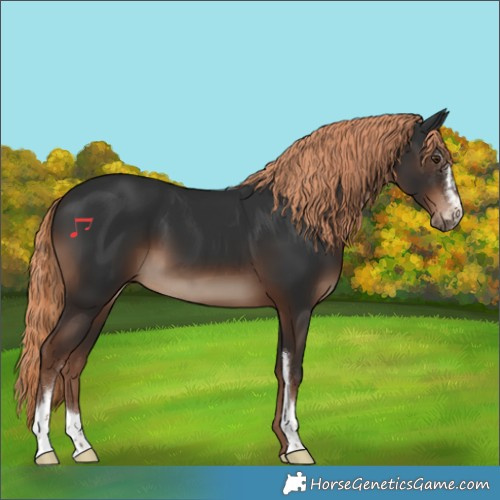 Horse Color:Liver Chestnut Sabino