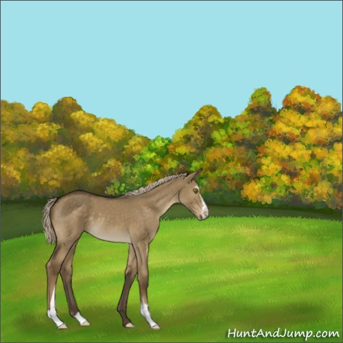 Horse Color:Chocolate Palomino Dun Sabino 