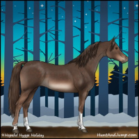 Horse Color:Liver Chestnut Tobiano