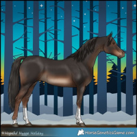 Horse Color:Liver Chestnut Tobiano 