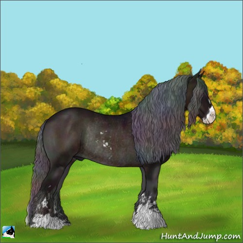 Horse Color:Nacre Midnight Bay Onyx Sabino Rabicano 
