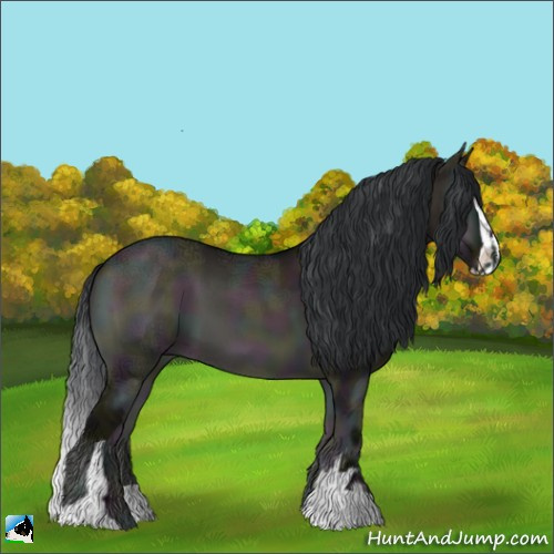 Horse Color:Midnight Brown Ice Onyx Sabino 