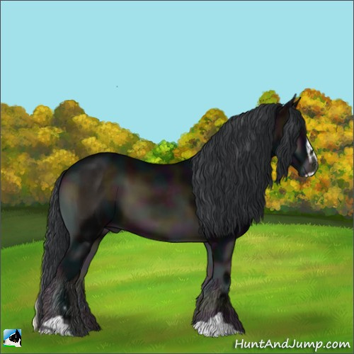 Horse Color:Midnight Brown Onyx Sabino 