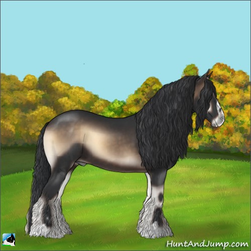 Horse Color:Brown Onyx Sabino 